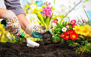 Zelf in de tuin werken