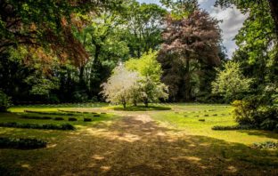 3 redenen om voor een tuinkamer te kiezen